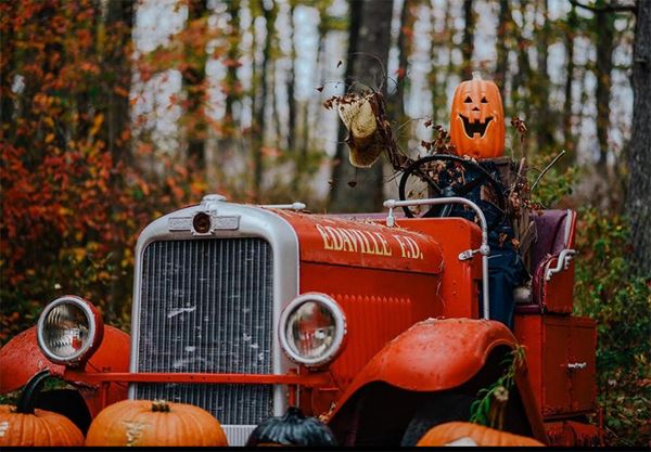 Picture for category Pumpkin Patch Express